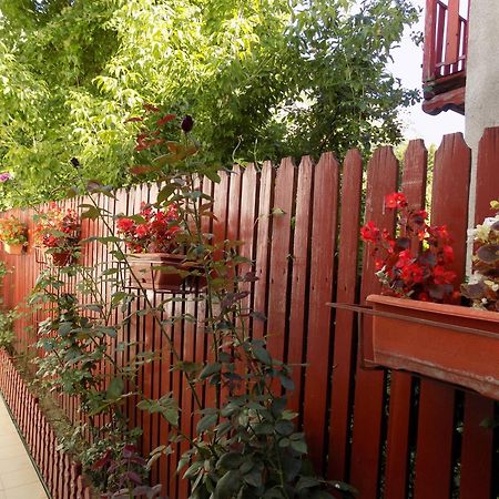 Pension Eden Băile Herculane المظهر الخارجي الصورة