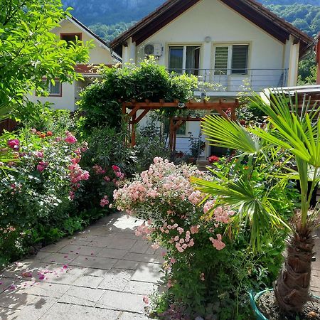 Pension Eden Băile Herculane المظهر الخارجي الصورة