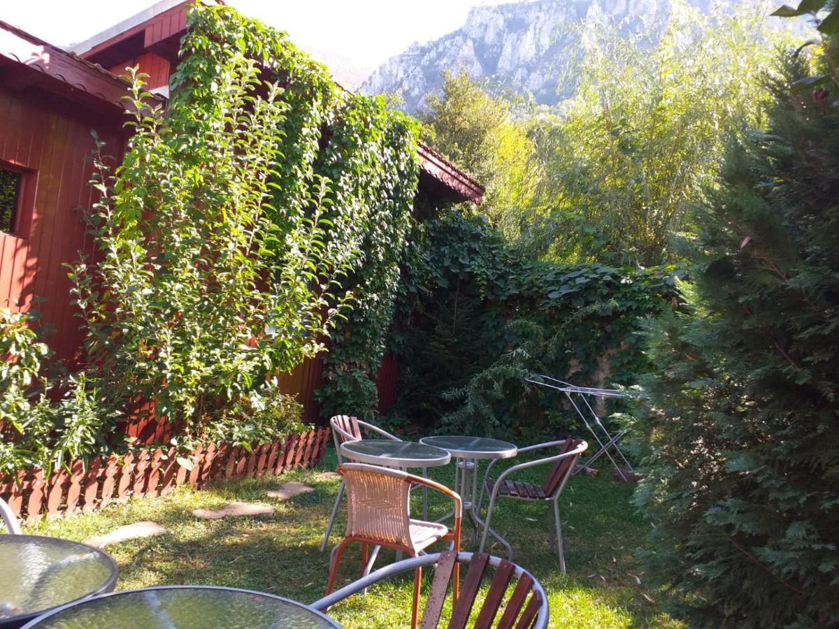 Pension Eden Băile Herculane المظهر الخارجي الصورة